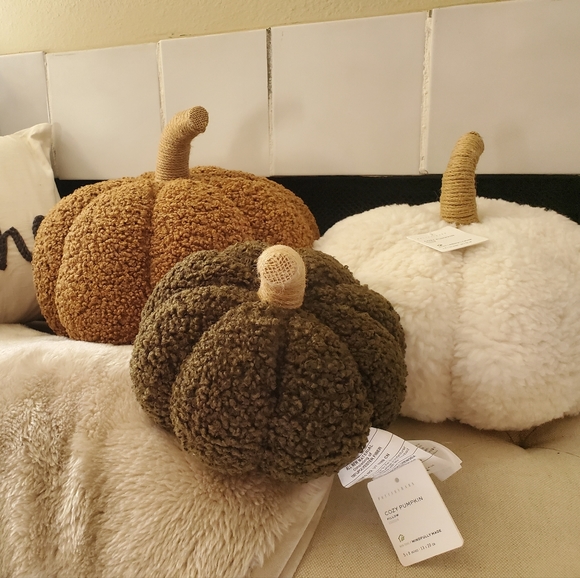 Pottery Barn Other - Cozy pumpkin pillow